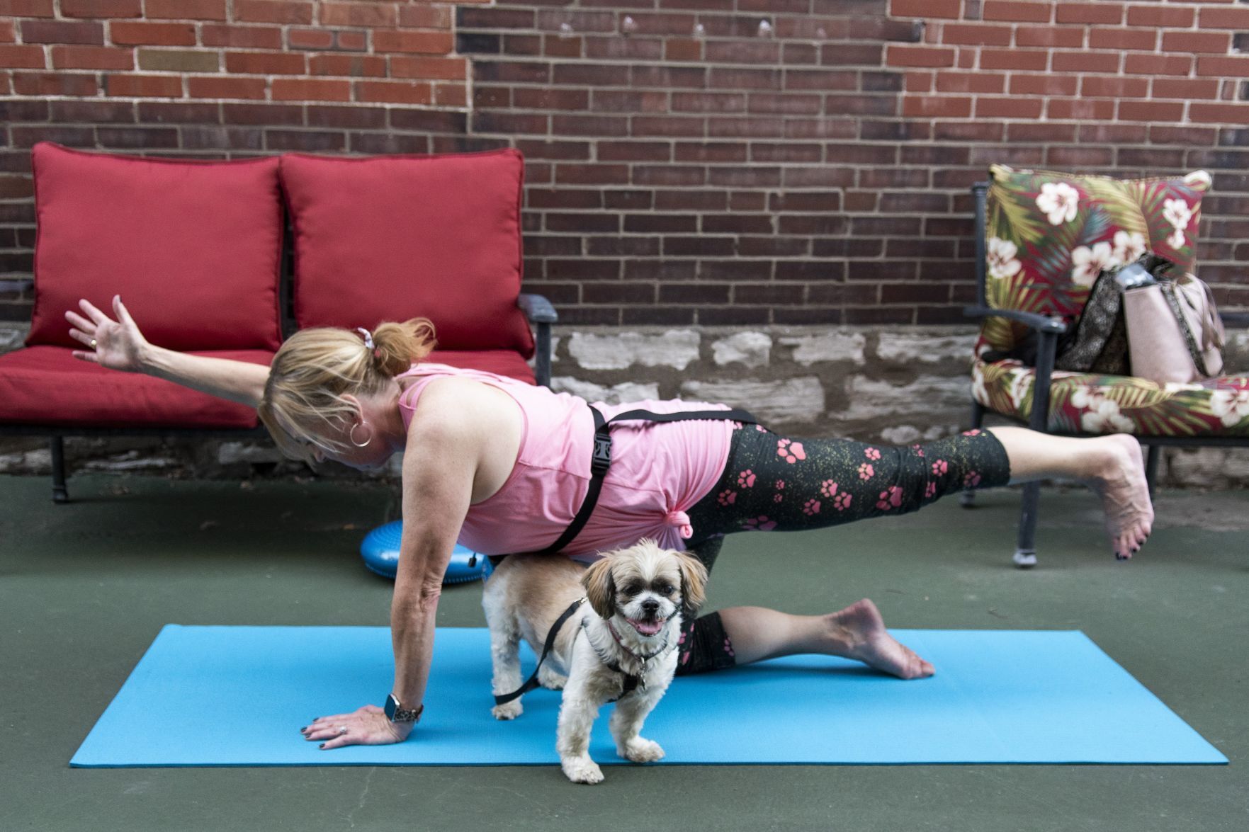 'Yappy Hour Yoga' combines pets with fitness
